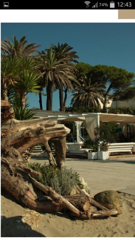 Villa Argentina - B&B San Felice Circeo