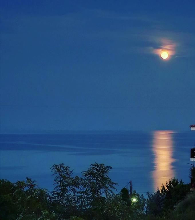 Afytos Dream suites sea view - B&B Áfytos