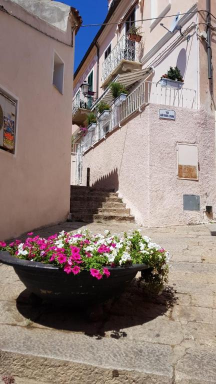 Monolocale II La Maddalena - Chambres d'hôtes La Maddalena