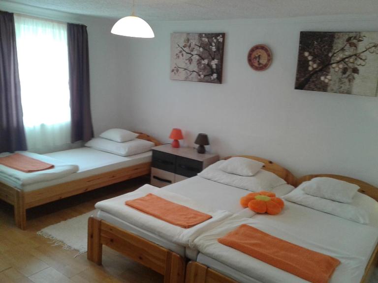 100 ÉVES NOSZTALGIA APARTMAN - B&B Kiszombor