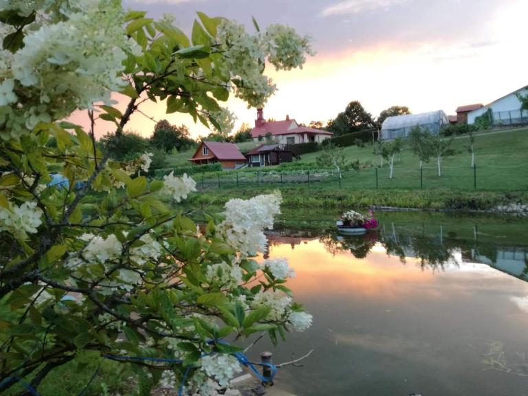 Griežto 5 - B&B Zarasai