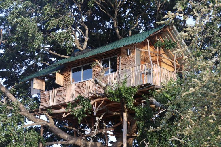 Yala Dream Park - B&B Yala