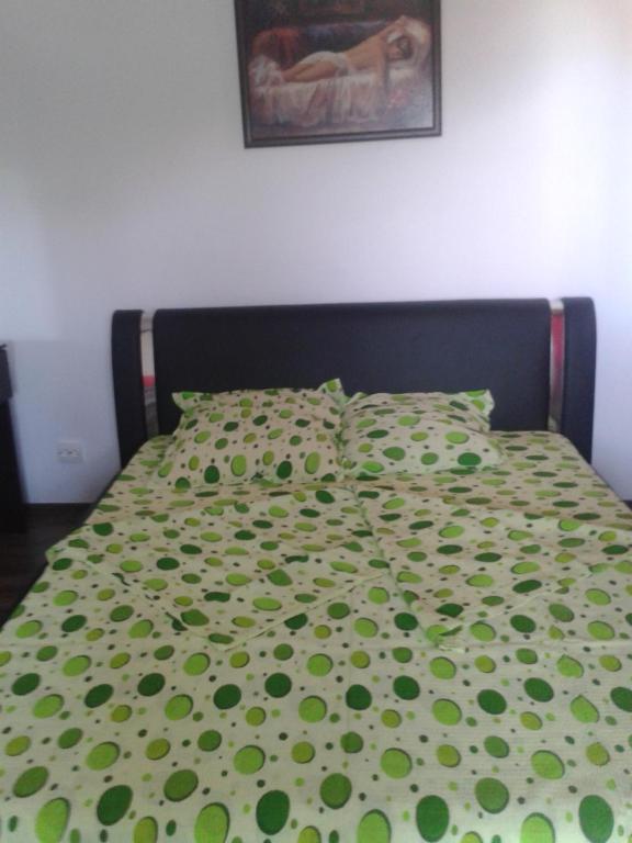 Villa ALEX - Bed and Breakfast Slatina