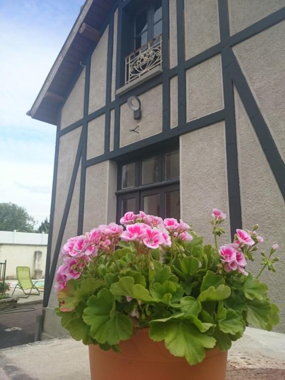 Les Lumieres d'Epernay - B&B Épernay