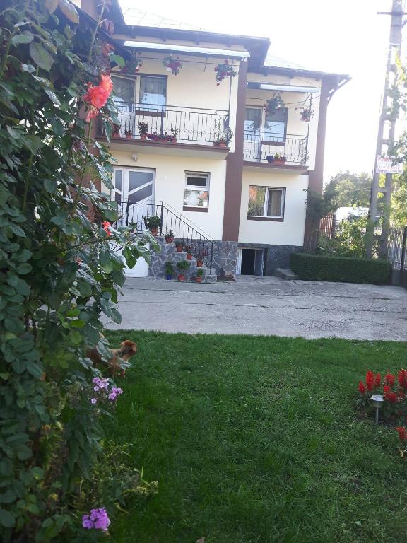 Pensiunea Diana - B&B Arefu