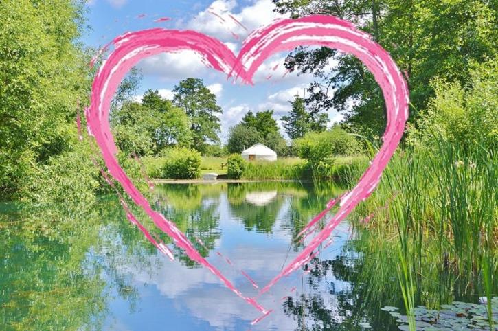 Acorn Glade Glamping York - B&B York