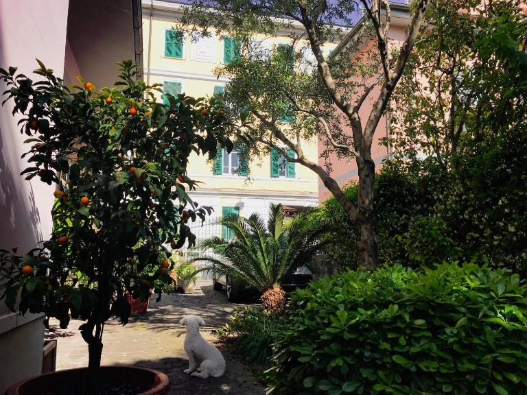 La Casa dei Fiori - B&B La Spezia