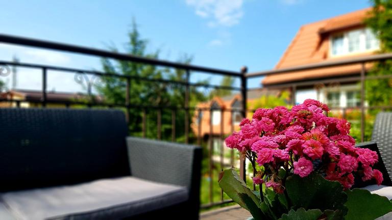 Apartament Lawenda - Chambres d'hôtes Łeba