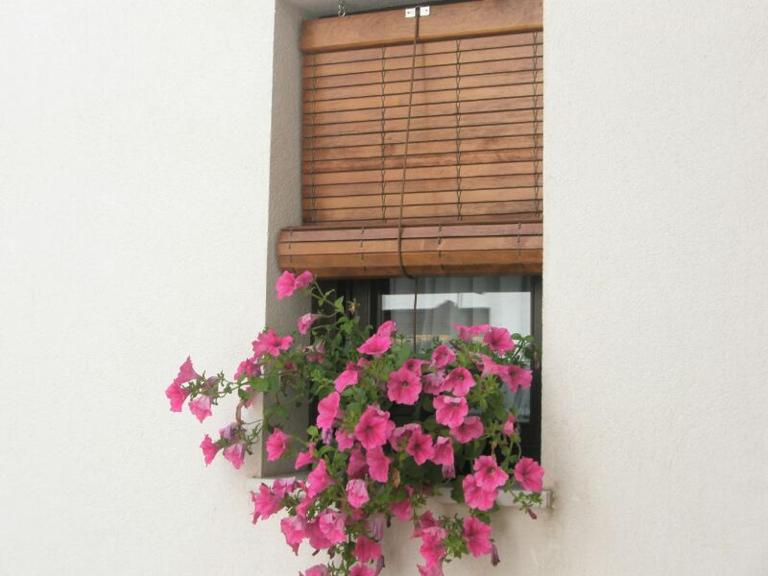 Apartamentos La Ribera Córdoba - Chambres d'hôtes Cordoue