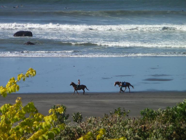 49 on Jans Beach Break - B&B Oakura