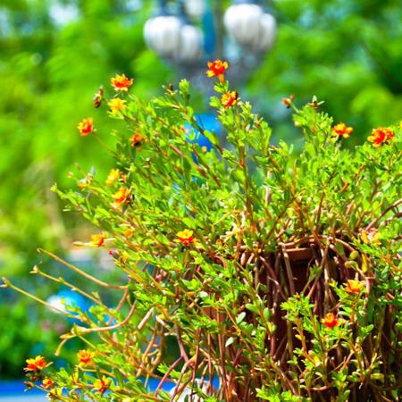 HaiAn Xian Homestay - B&B Huxi