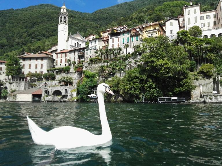 Lake's Sound - B&B Nesso