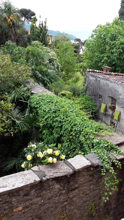 Appartamenti Raineri - B&B Domaso