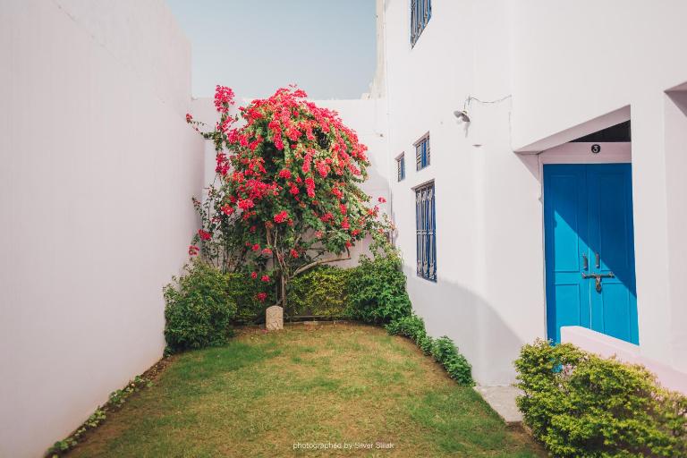 Rajguru guest house - Ferienwohnung Pushkar