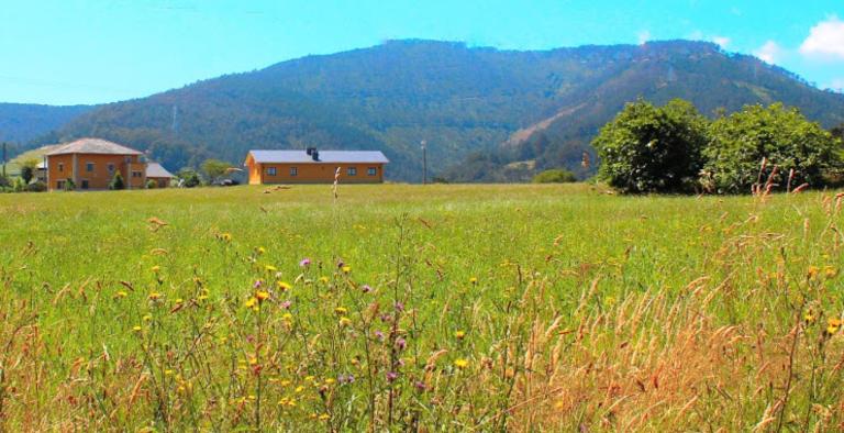 Las Golondrinas - B&B Casiellas