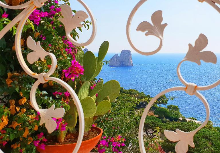 VILLA MARINA PICCOLA ai FARAGLIONI - Chambres d'hôtes Ville de Capri