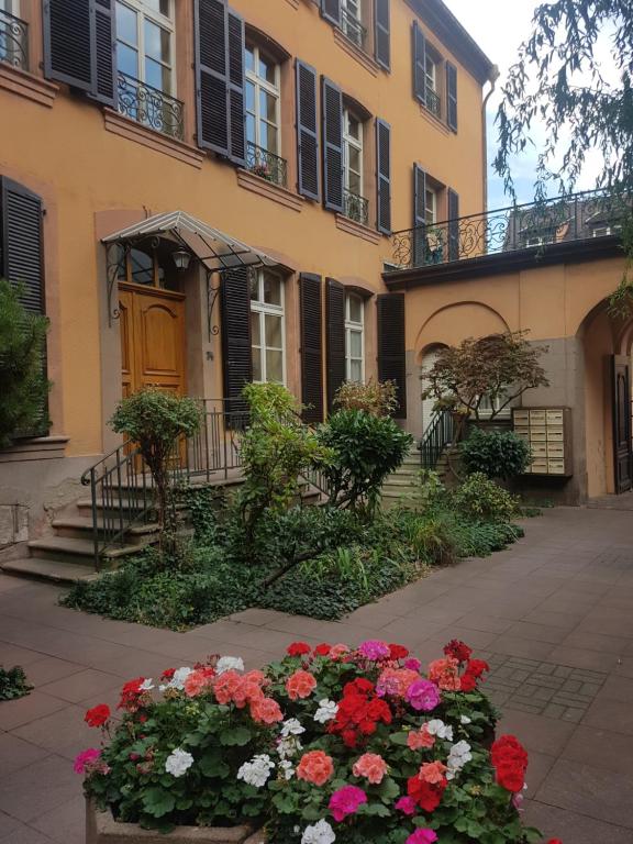 Appartement avec garage Colmar Centre Historique - Bed and Breakfast Colmar