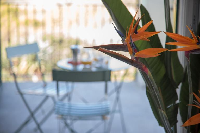 La Strelitzia Cervo Mare - Ferienwohnung Cervo