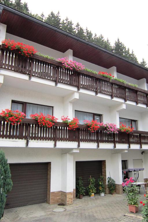 Pension zum Ritter - B&B Katzhütte