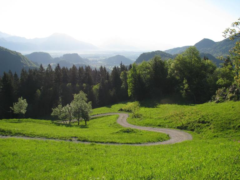 Vaznik Farm House Apartments - B&B Bled