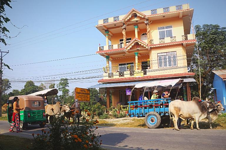 Tiger Corner Inn Homestay - Bed and Breakfast Sauraha