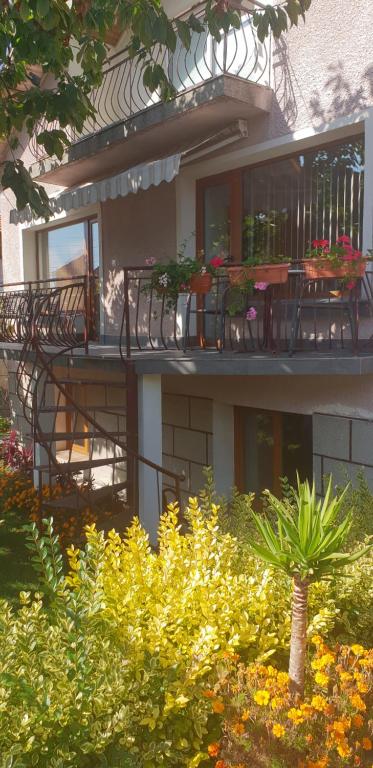 Kyurkchievi Guest House - B&B Sapareva Banya