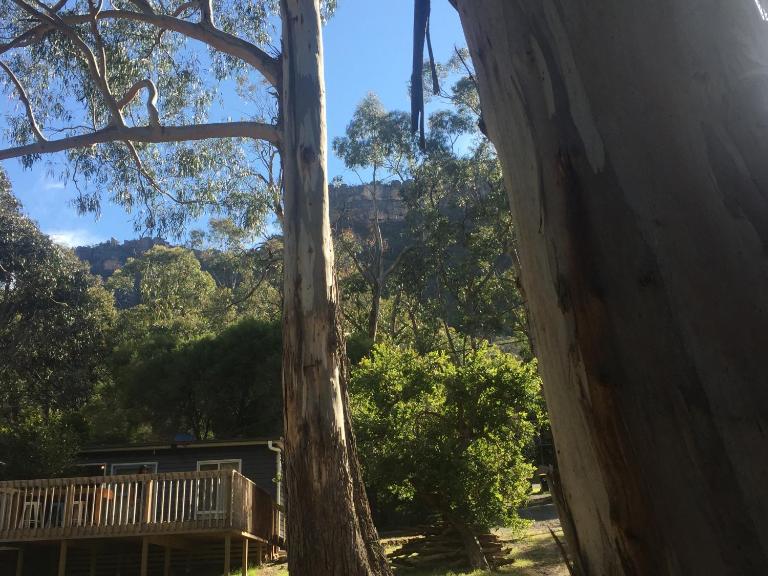 Grampians Nest - Chambres d'hôtes Halls Gap