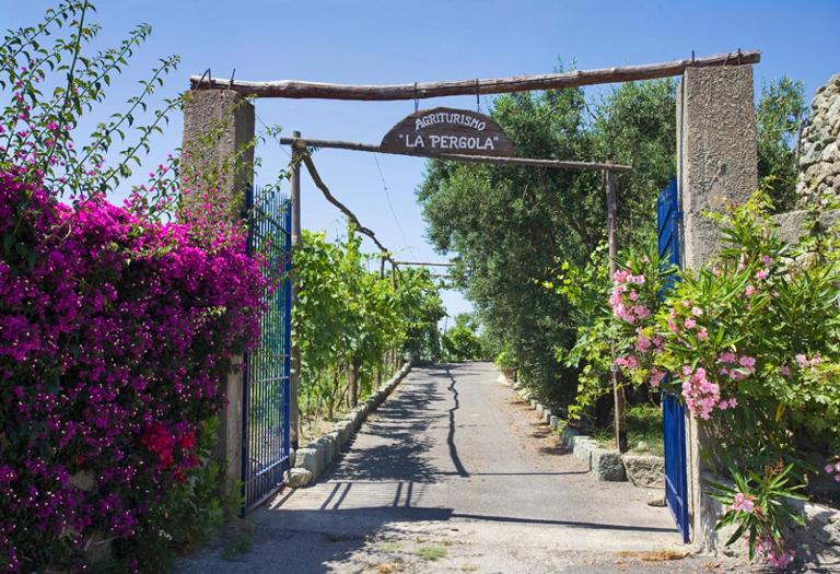 Agriturismo La Pergola - B&B Forio