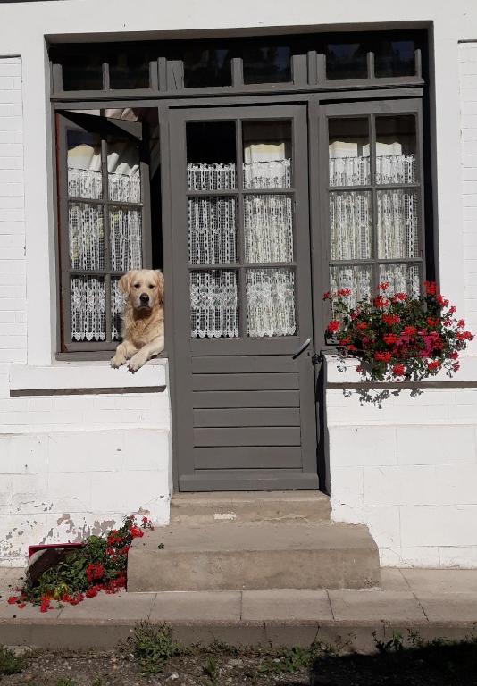 La Ferme De Tigny - Bed and Breakfast Tigny-Noyelle