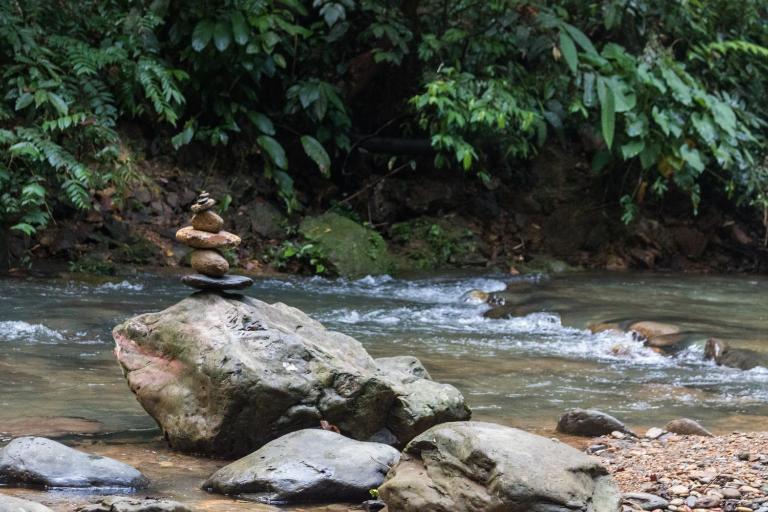 Rain Forest Guest House and Jungle Trekking - B&B Bukit Lewang