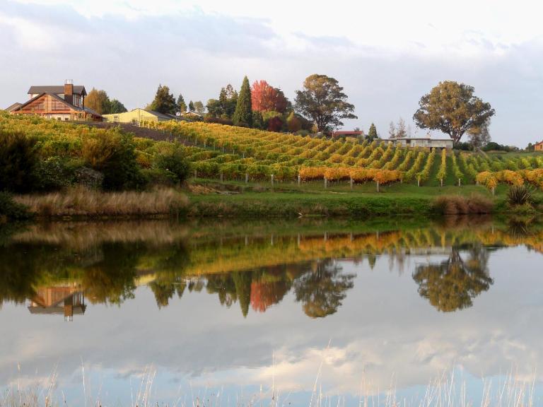 Pine Hill Lodge In Vineyard - Ferienwohnung Mapua