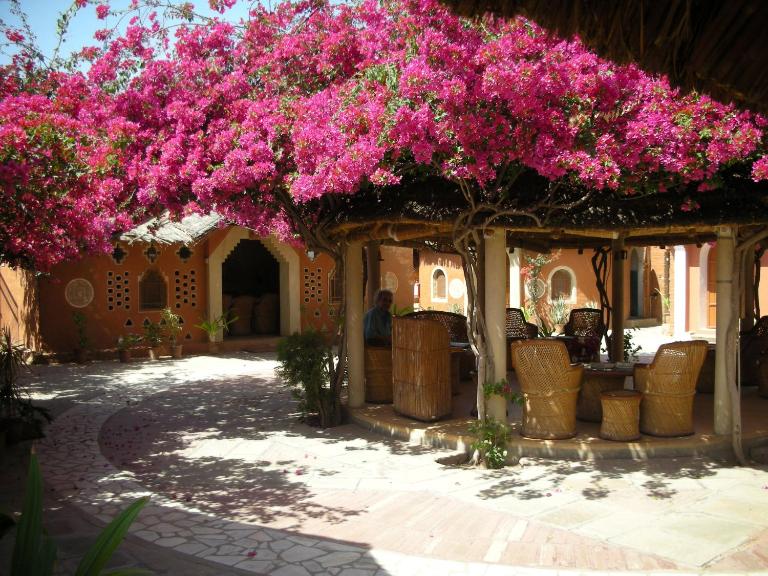 Apani Dhani Eco-Lodge - Ferienwohnung Nawalgarh