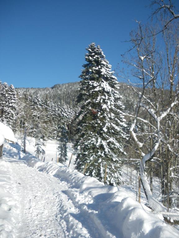 Chambres IM-BERG - Bed and Breakfast Metzeral
