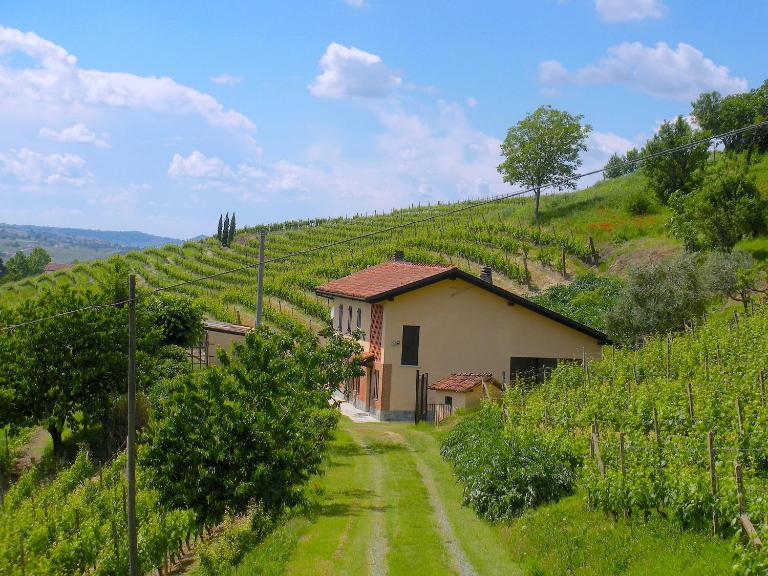 Cascina tra i vigneti a Nizza Monferrato - Bed and Breakfast Nizza Monferrato