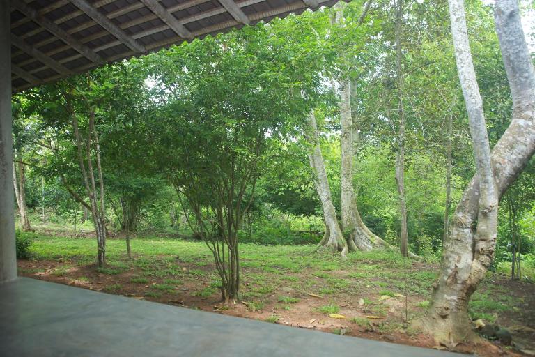 Villa Greenary - B&B Unawatuna