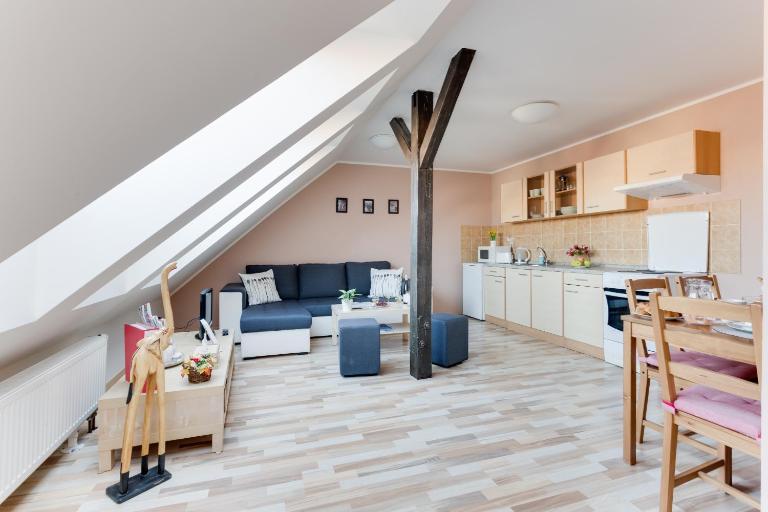 Jane's Attic Apartment - B&B Praga