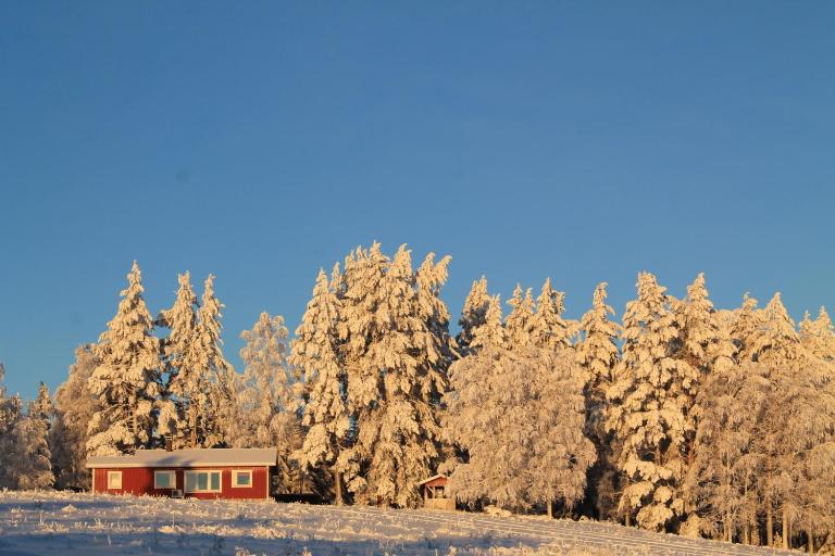 Maatilamatkailu Jänisvaara - B&B Koli