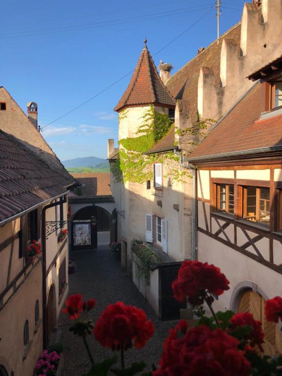 Le Grenier Des Arômes Au Domaine Wittmann - B&B Mittelbergheim