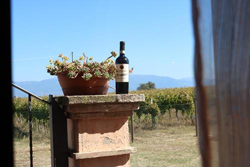 Casale Rialto - B&B Montefalco