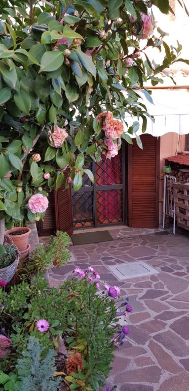 B&B Vista su Roma - B&B Marco Simone