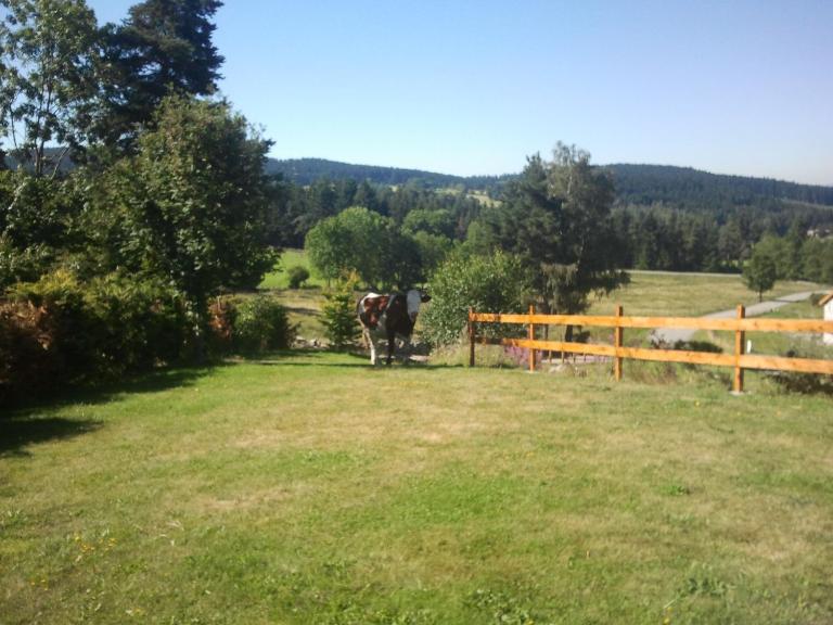 Ressourcez vous en pleine nature! - B&B Saint-Régis-du-Coin