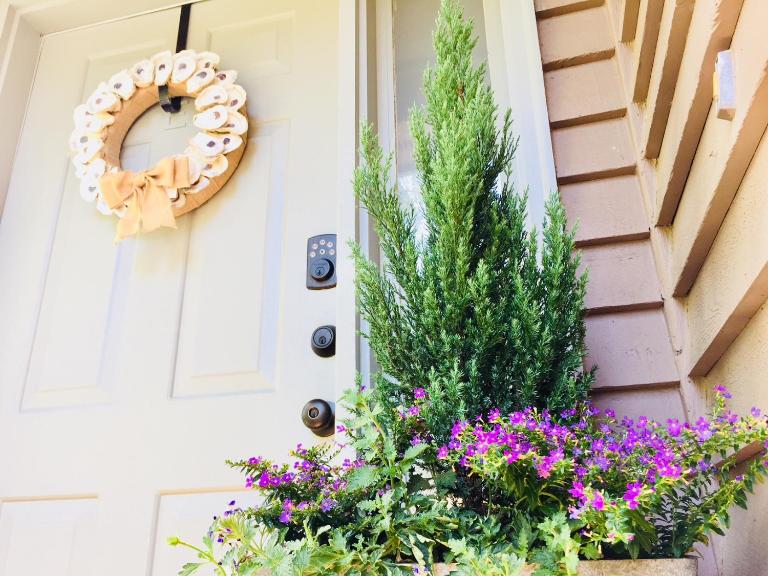 Southern Sophistication at the Park - B&B Charleston
