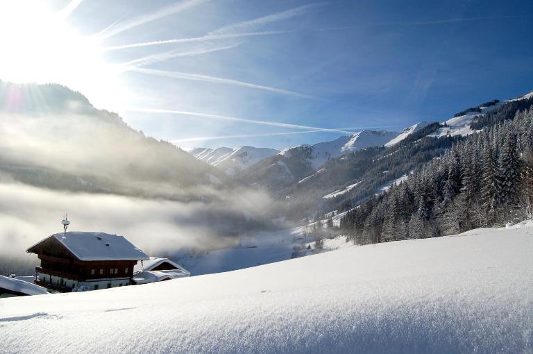 Hinterjetzbachhof - B&B Maria Alm am Steinernen Meer