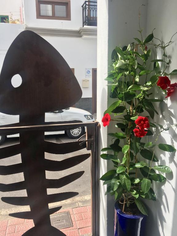 Estudio del Pescado en el Charco - B&B Arrecife