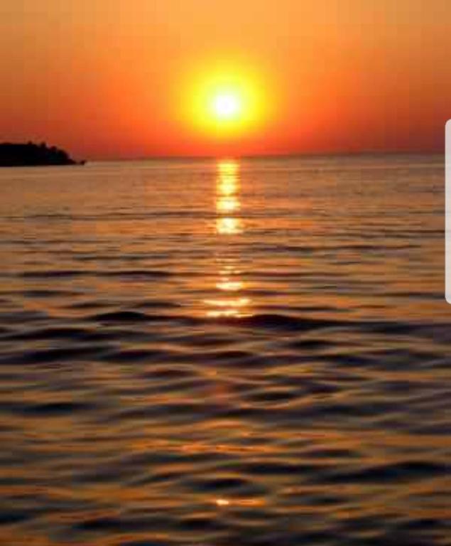 David Summerland Apartments Mamaia - Bed and Breakfast Mamaia