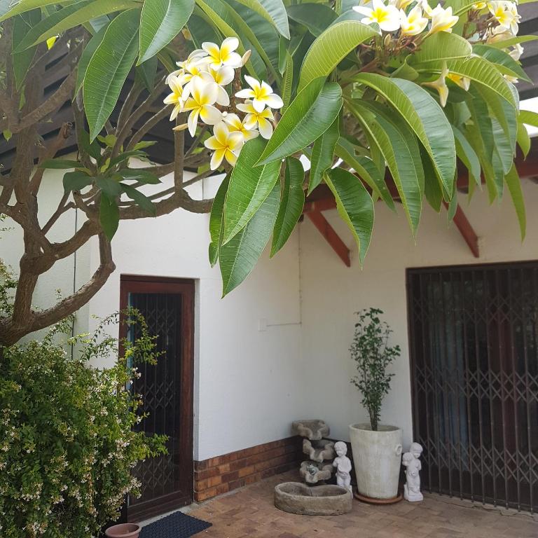 Oak on Blair - Ferienwohnung Somerset West