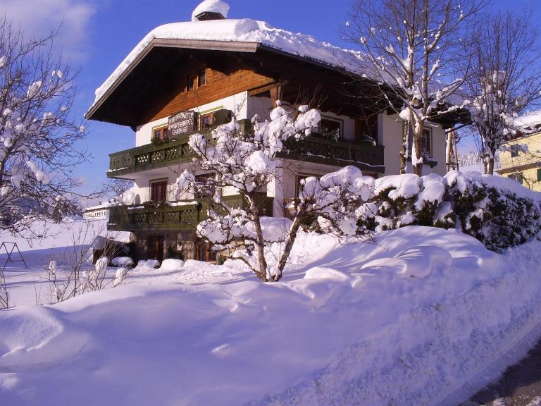 Ferienhaus Hirterhütte - B&B Abtenau