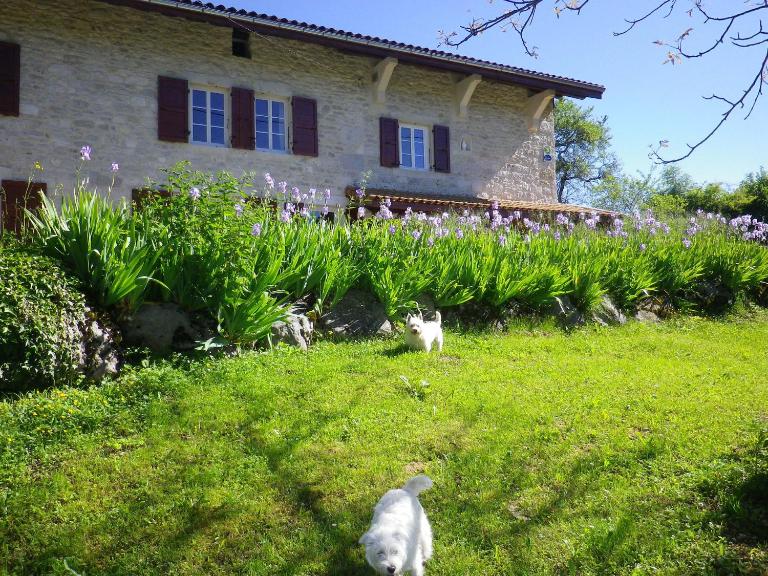 Chambre d'hôtes La Haie Fleurie - B&B Chevillard