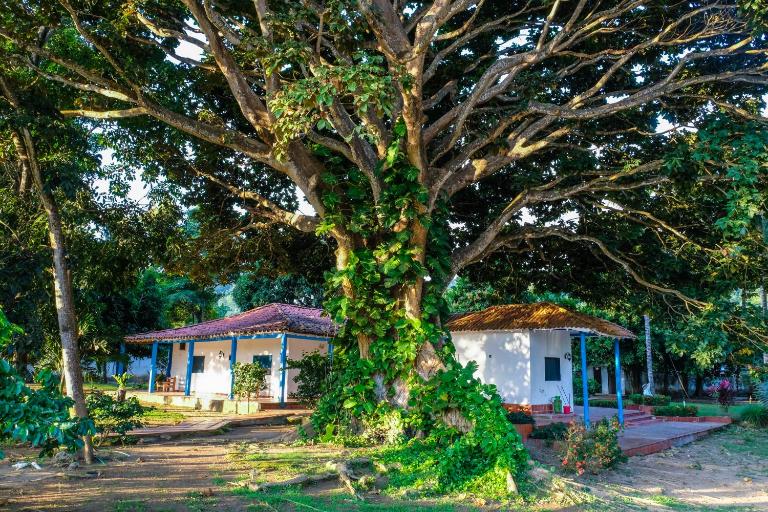 Finca del Rio Palomino - B&B Palomino