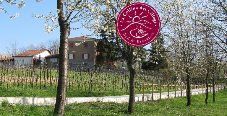 B&BLa collina dei ciliegi - Bed and Breakfast Cassano Spinola